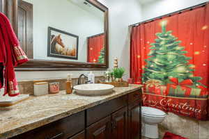 Bathroom with vanity and a shower with curtain