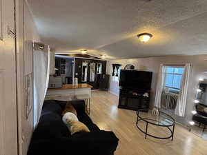 Living room featuring a textured ceiling, light wood-style flooring, and vaulted ceiling
