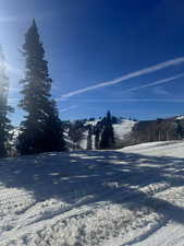 View of lit sundown runs