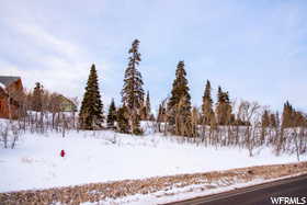 View of area from Powder Mountain Road  First Pines and not on the property but Second pines are.