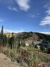 Mountain view with rural landscape