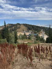 Mountain view featuring a heavily wooded area and rural landscape