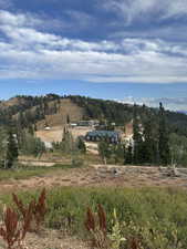 Mountain view featuring rural landscape and a forest