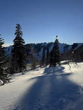 View of mountain backdrop