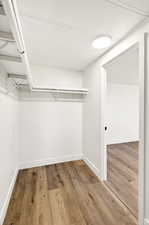 Walk in master closet with light wood-style floors