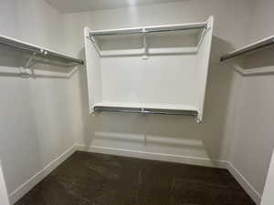 Spacious closet featuring dark carpet