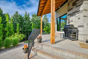 View of patio / terrace with area for grilling