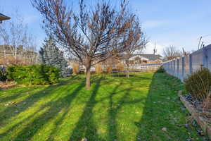 Fenced backyard featuring a trampoline
