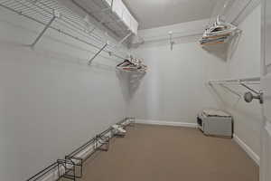 Spacious closet featuring carpet