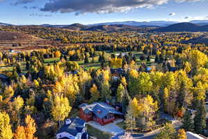 Drone / aerial view of a mountainous background and a forest