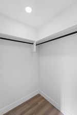 Spacious closet with dark wood-type flooring