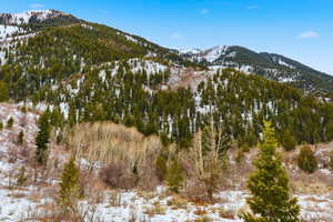 View of mountain background featuring a forest