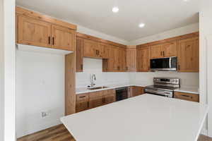 Kitchen with stainless steel appliances, a center island, dark wood-style flooring, light stone countertops, and recessed lighting