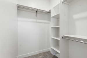 Walk in closet with light carpet