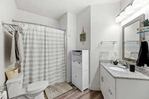 Bathroom featuring a shower with curtain, vanity, and wood finished floors
