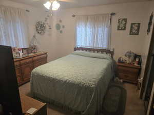 Bedroom featuring carpet floors, a decorative wall, and multiple windows