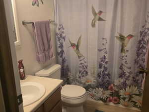 Bathroom with vanity and curtained shower
