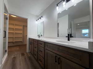 Bathroom with double vanity, dark wood-type flooring, and a walk in closet