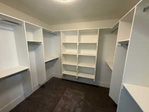 Walk in closet with dark carpet