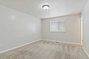 Unfurnished room with a textured ceiling and carpet flooring