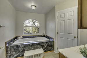 Full bath featuring vanity and a garden tub