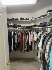Walk in closet with light carpet