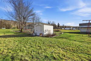 View of green lawn with a shed