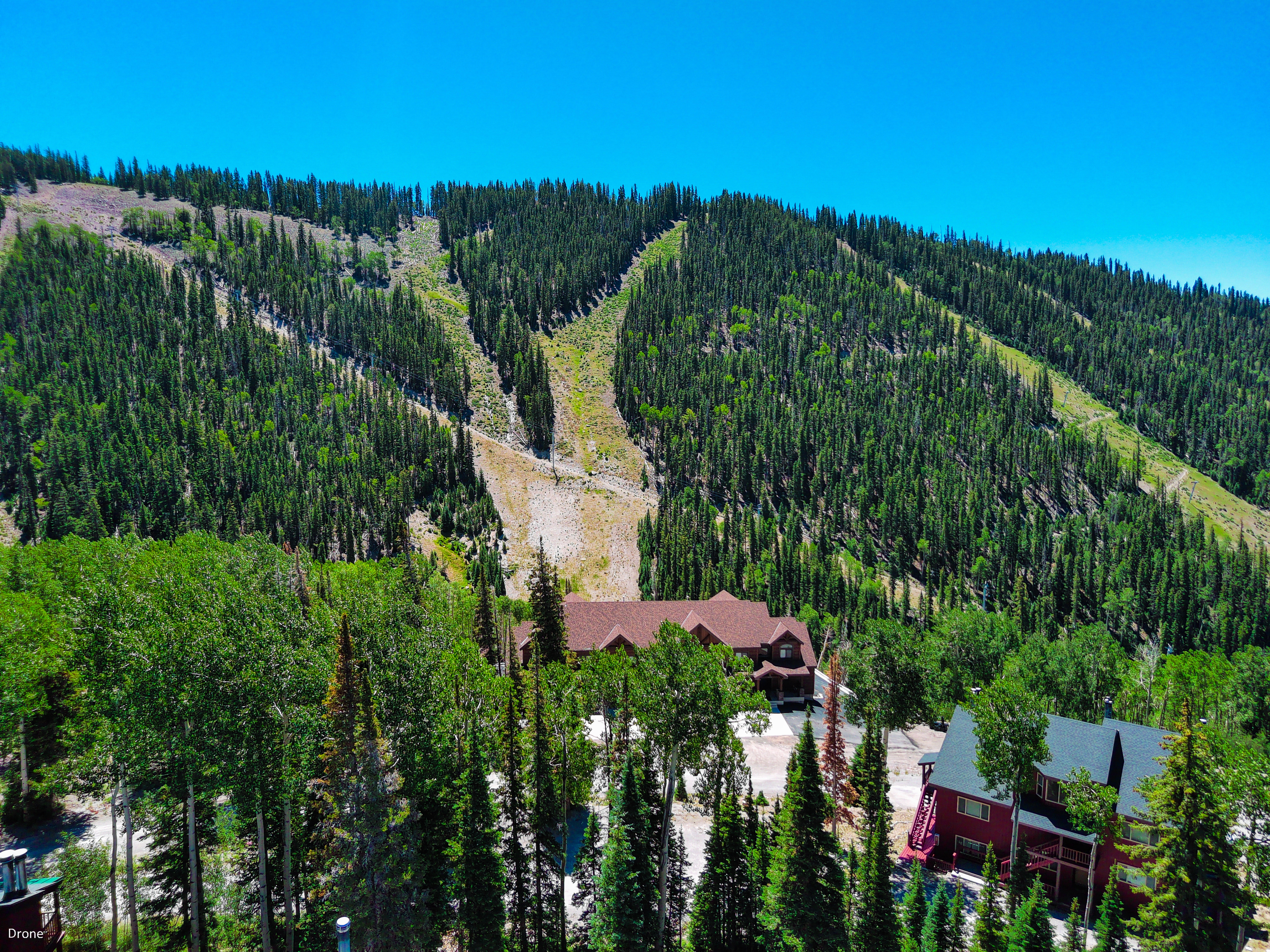 Drone / aerial view of a heavily wooded area
