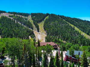 Drone / aerial view of a heavily wooded area
