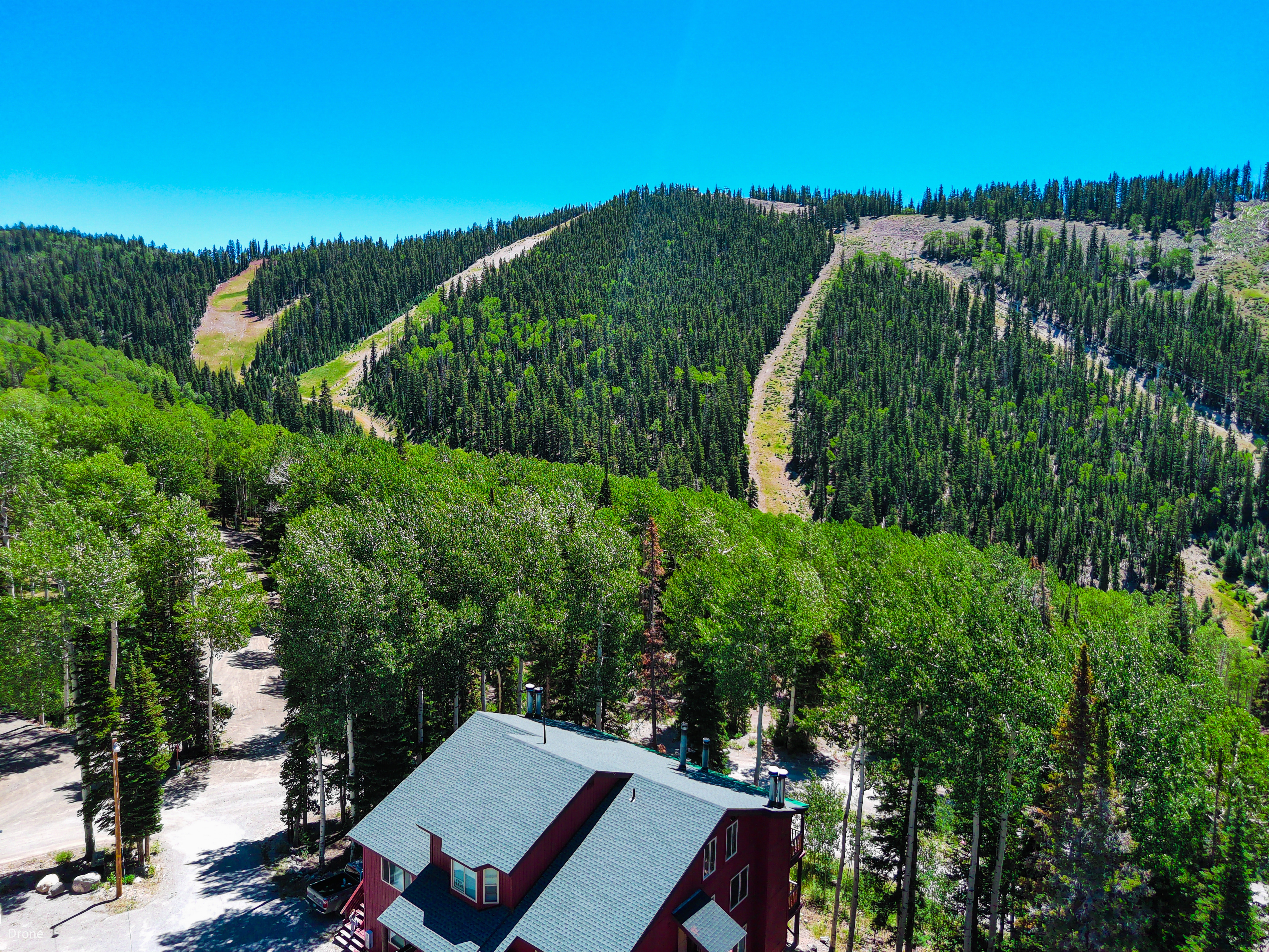Aerial view of property and surrounding area featuring a forest