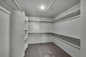 Walk in closet featuring light colored carpet