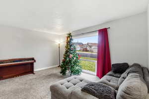 Living room featuring carpet floors, a textured ceiling, and a residential view