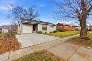 Single story home featuring concrete driveway, an attached garage, a front yard, and a shingled roof