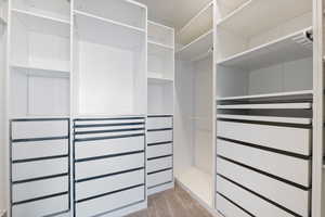 Walk in closet featuring light carpet
