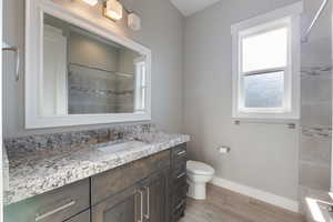 Bathroom featuring vanity, healthy amount of natural light, and wood finish floors