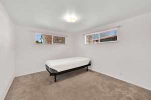 Carpeted bedroom featuring multiple windows