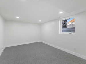 Basement Master Bedroom