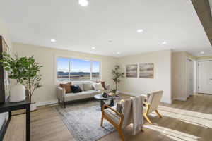 Living room featuring light wood-style floors and recessed lighting