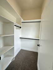 Spacious closet with dark carpet