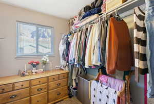 Walk in closet with carpet floors