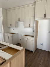 Kitchen featuring dark wood-type flooring