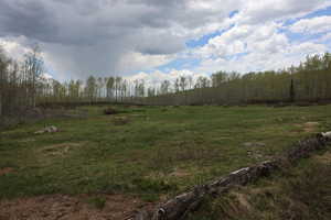 View of green lawn featuring a rural view