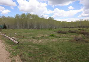 View of woods featuring a view of countryside