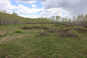 View of tree filled area featuring a rural view