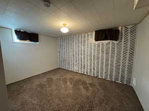 Finished basement with carpet flooring