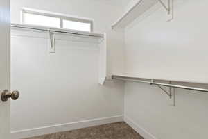 Spacious closet with dark carpet