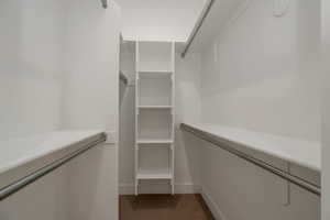 Spacious closet featuring dark colored carpet