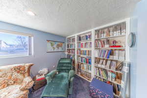 Living area with a textured ceiling and dark colored carpet