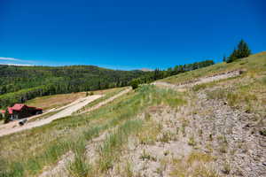 View of mountain background with rural landscape and a forest