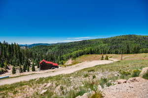 View of mountain background featuring a heavily wooded area and rural landscape